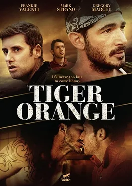 Tiger Orange poster