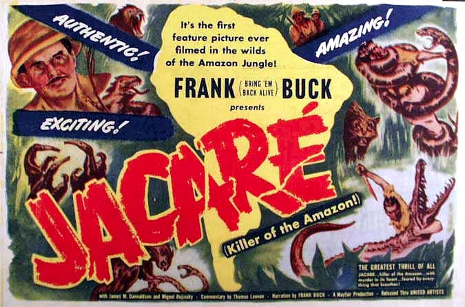 Jacare poster