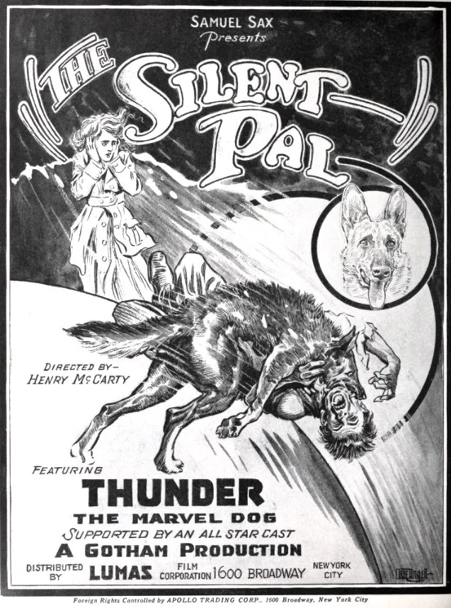 Silent Pal poster