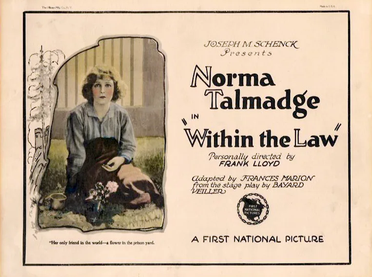 Within the Law poster
