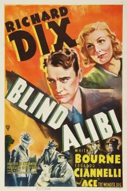 Blind Alibi poster