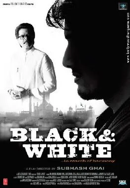 Black and White poster