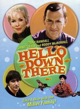 Hello Down There poster