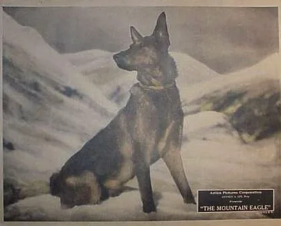 The Mountain Eagle poster