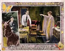 Butterflies in the Rain poster