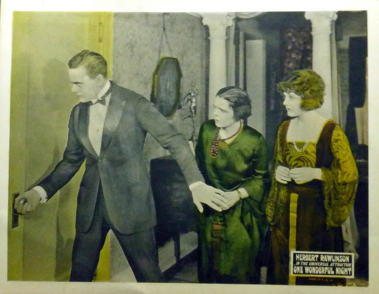 One Wonderful Night poster