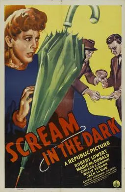 A Scream in the Dark poster
