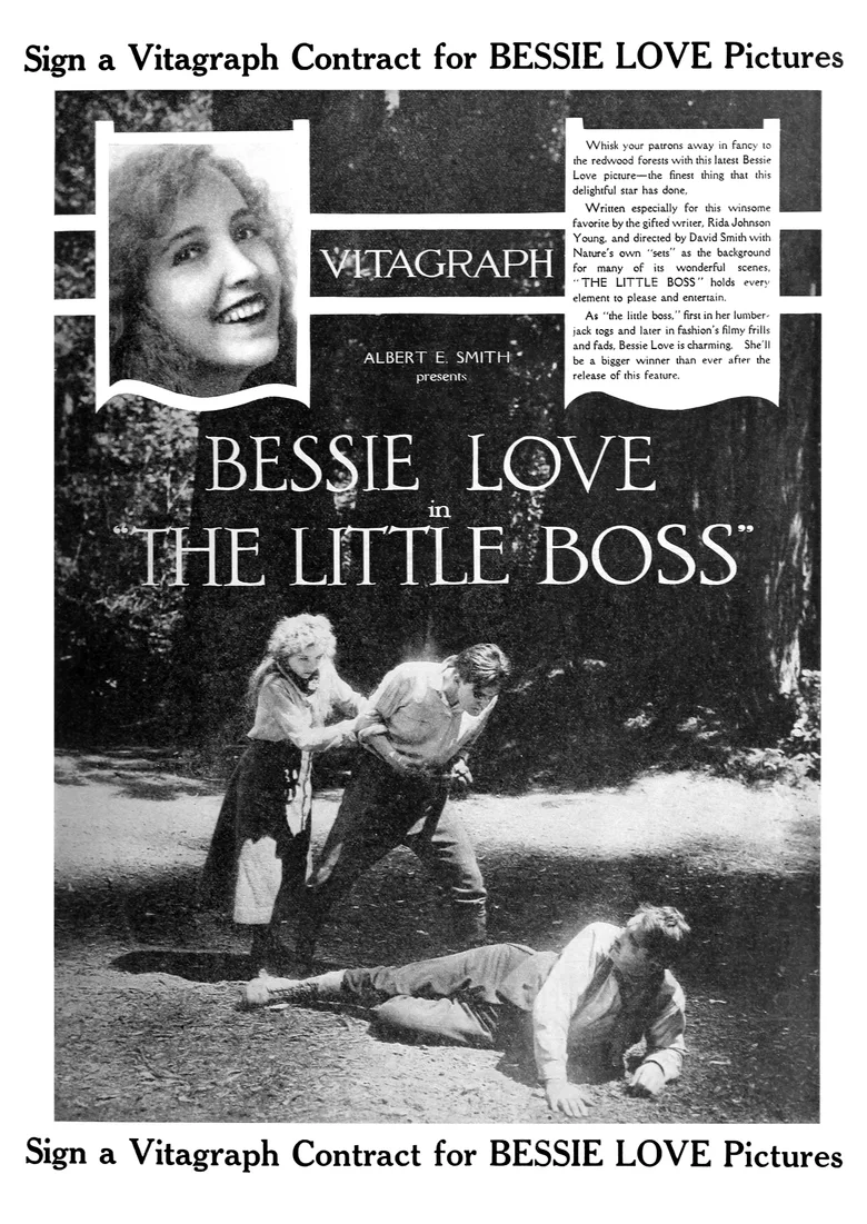 The Little Boss poster