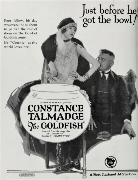 The Goldfish poster