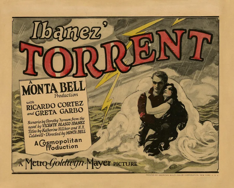 Torrent poster
