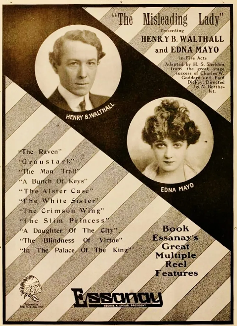 The Misleading Lady poster