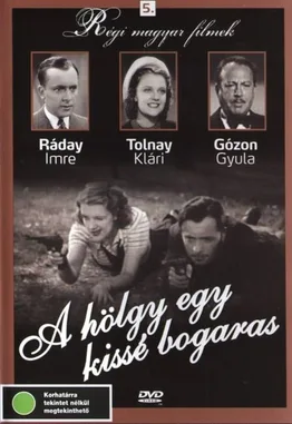 The Lady Is a Bit Cracked poster