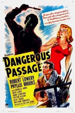 Dangerous Passage poster