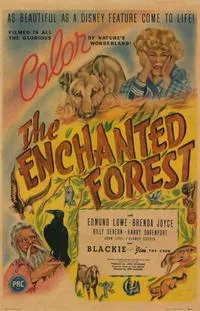The Enchanted Forest poster