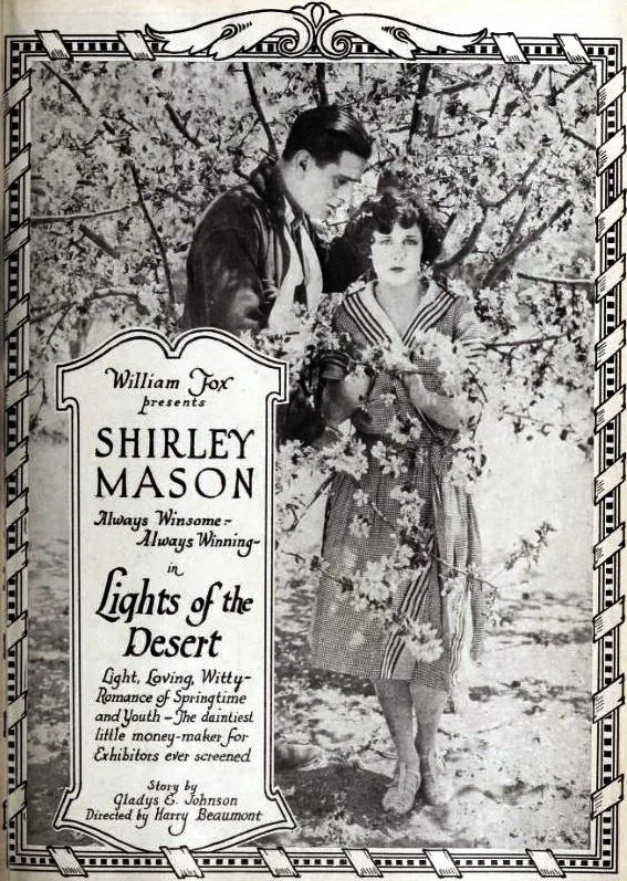 Lights of the Desert poster