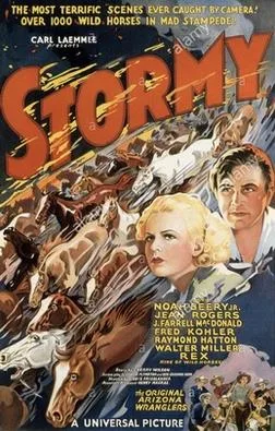Stormy poster