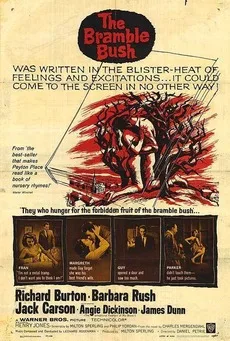 The Bramble Bush poster