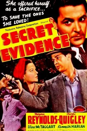 Secret Evidence poster