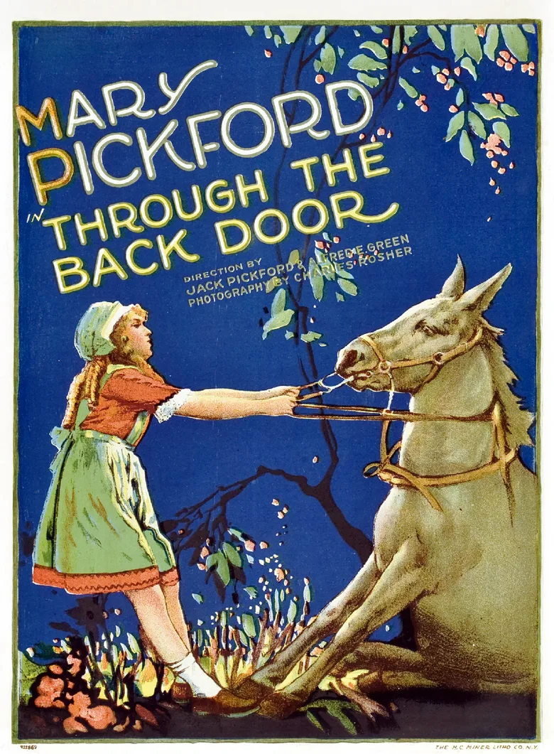 Through the Back Door poster