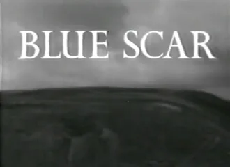 Blue Scar poster