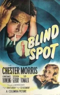 Blind Spot poster