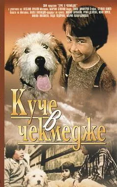 A Dog in a Drawer poster