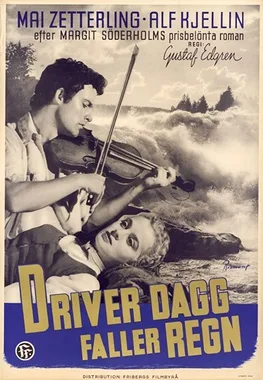 Sunshine Follows Rain poster