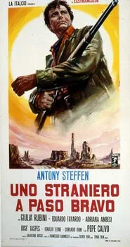 A Stranger in Paso Bravo poster
