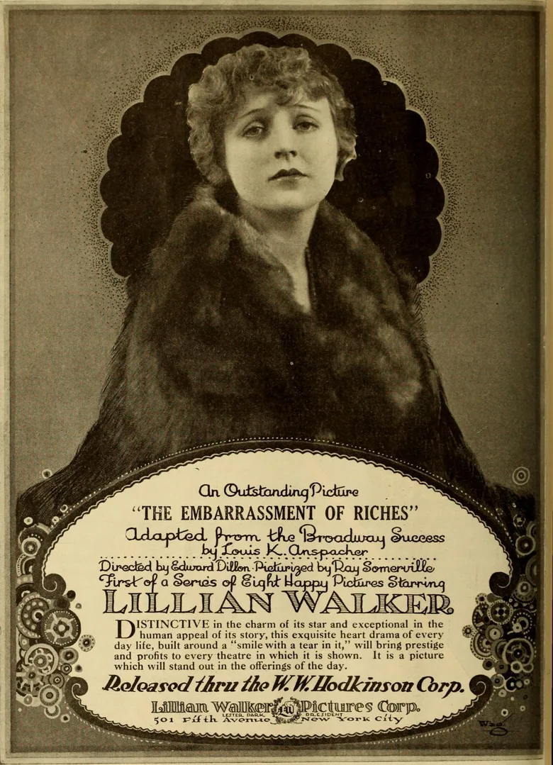 The Embarrassment of Riches poster