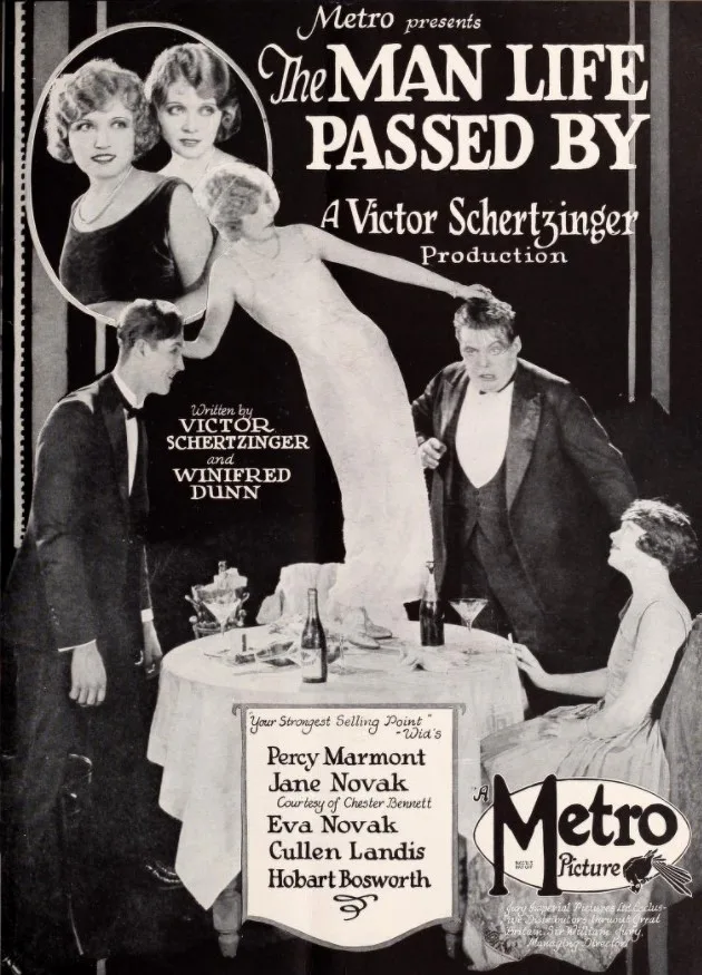 The Man Life Passed By poster