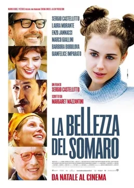 Love & Slaps (La bellezza del somaro) poster
