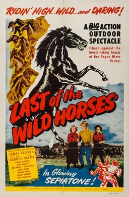 Last of the Wild Horses poster