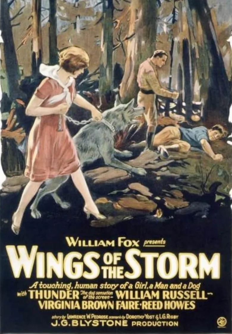 Wings of the Storm poster
