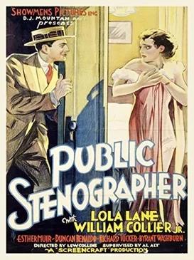 Public Stenographer poster