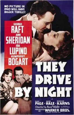 They Drive by Night poster
