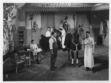 La Mujer y el jockey poster