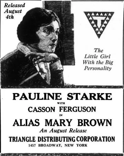 Alias Mary Brown poster