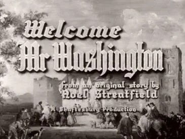 Welcome, Mr. Washington poster