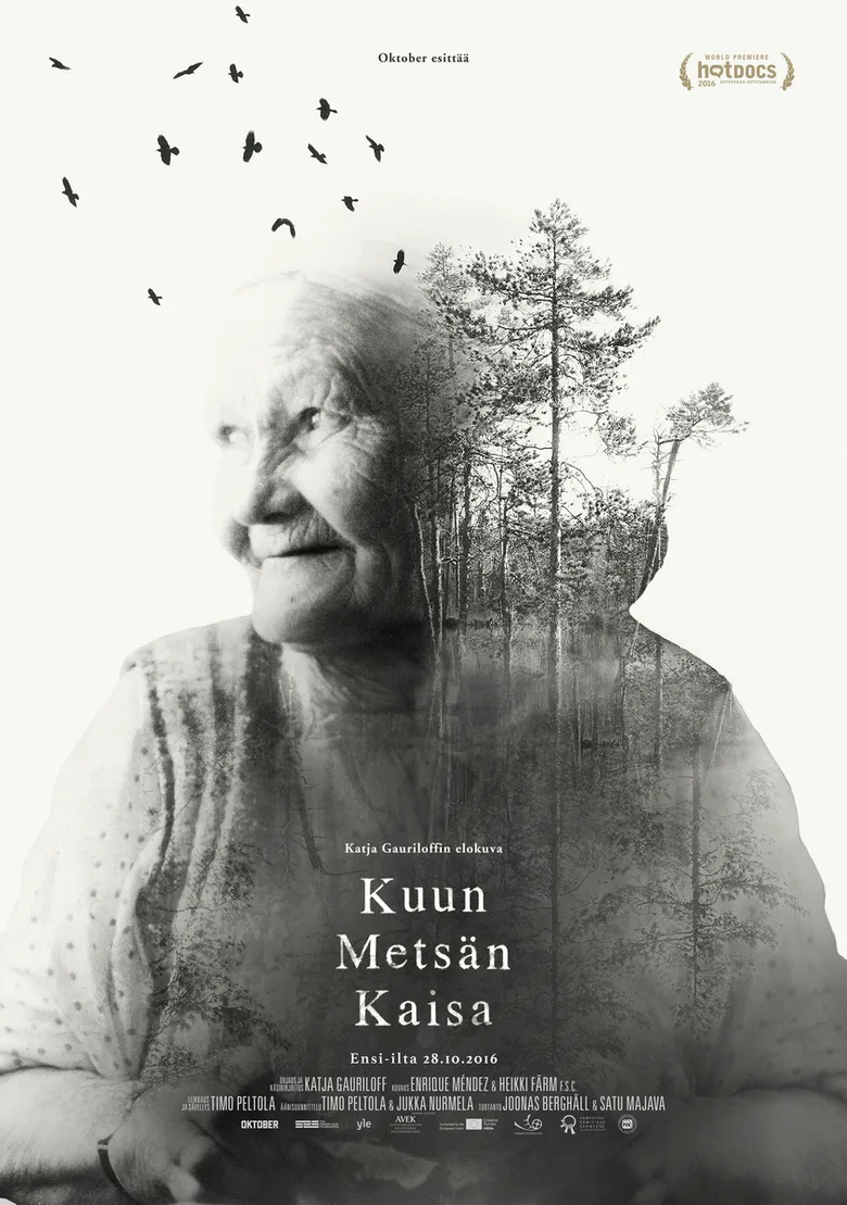 Kaisa's Enchanted Forest poster