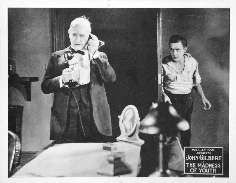 Madness of Youth poster