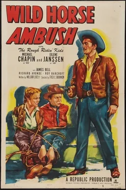 Wild Horse Ambush poster