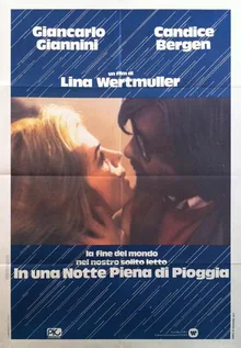 A Night Full of Rain poster