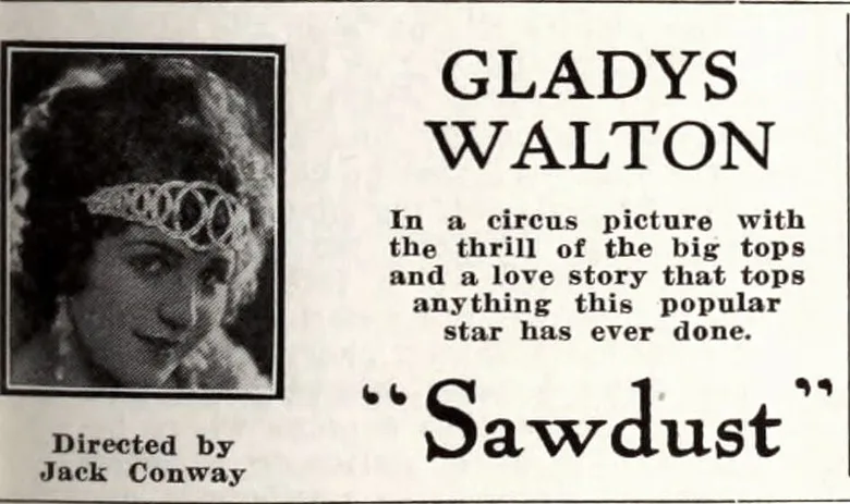 Sawdust poster