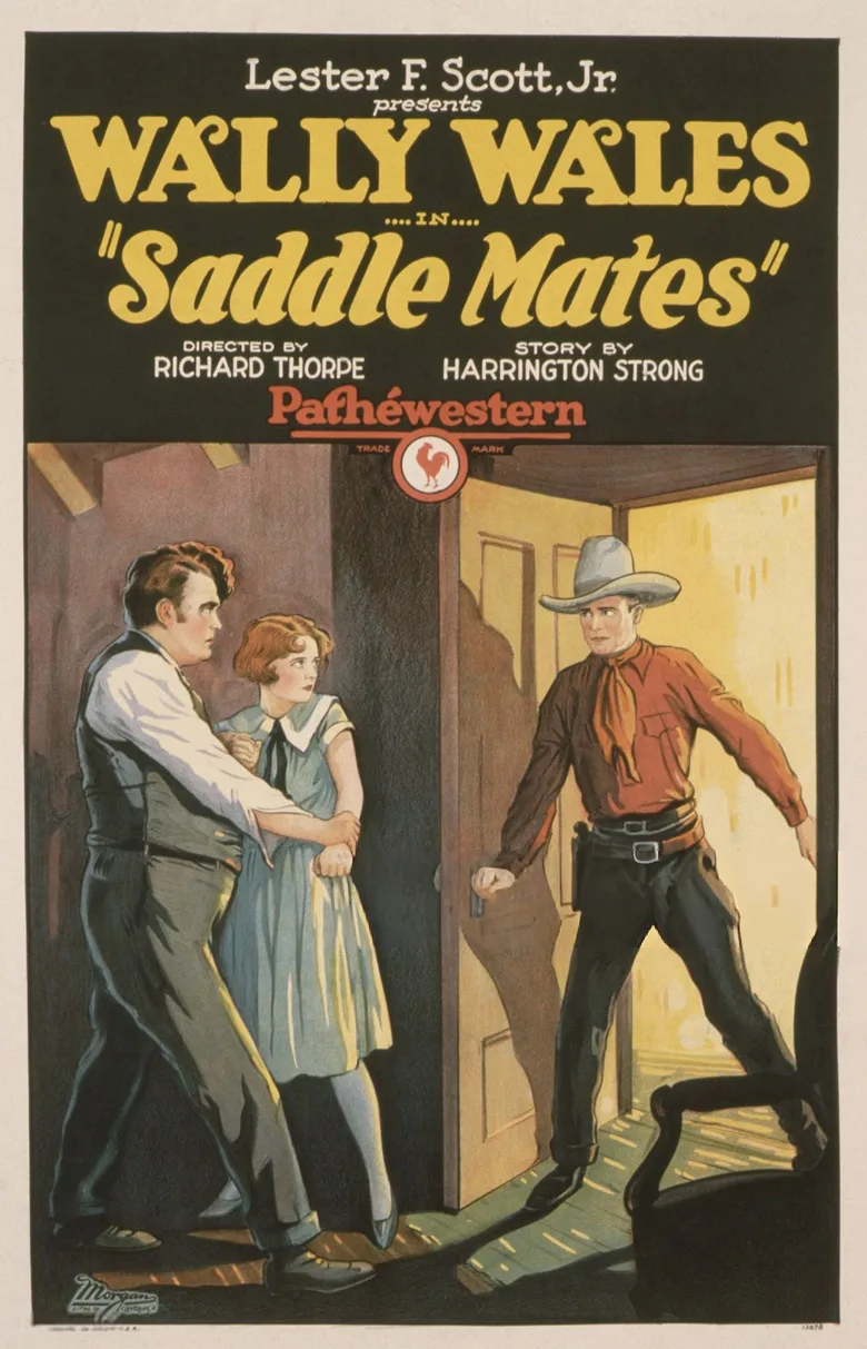 Saddle Mates poster