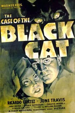 The Case of the Black Cat poster