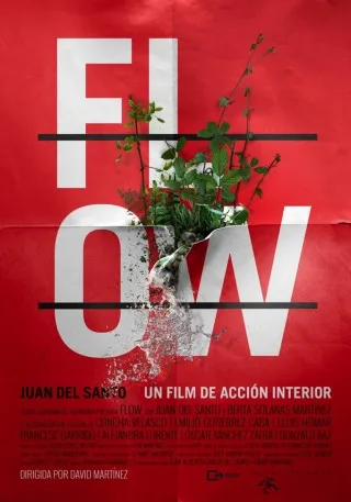Flow poster