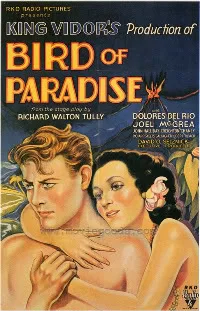 Bird of Paradise poster