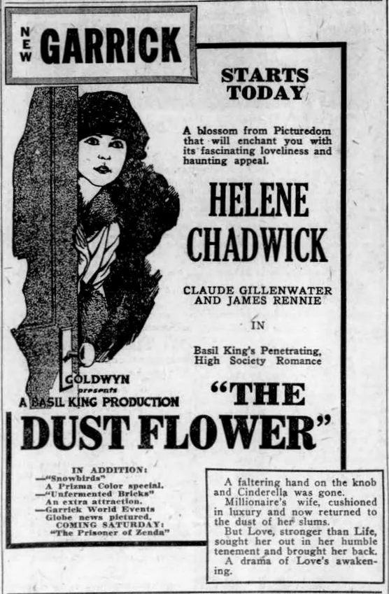 The Dust Flower poster