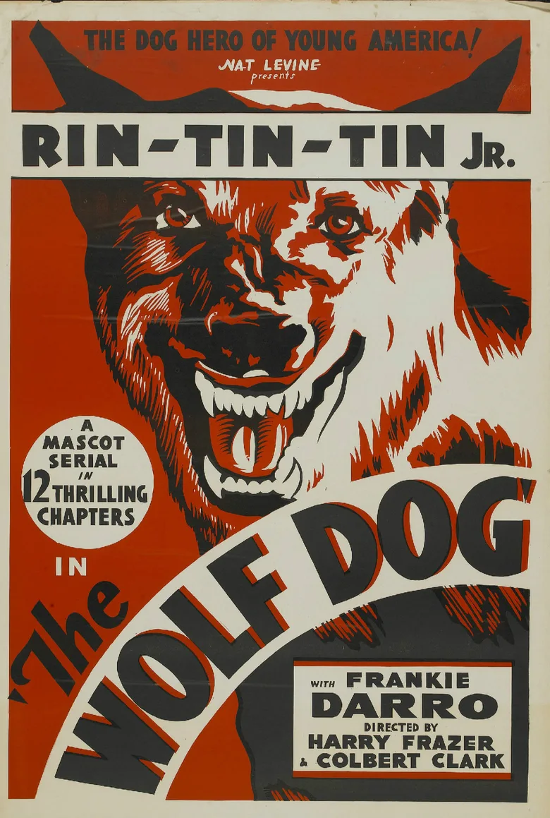 The Wolf Dog poster