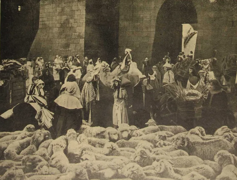The Crusaders poster